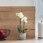 Appartement Vogesenblick