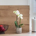 Vogesenblick Appartement