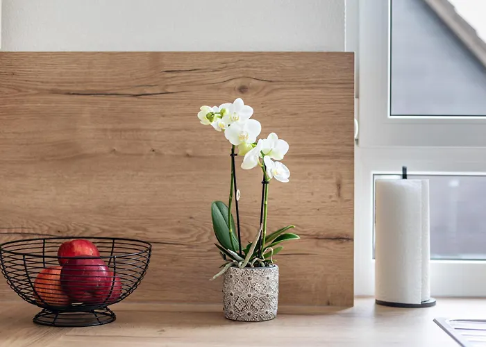 アパート Vogesenblick